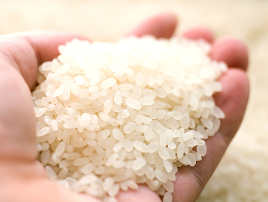 各産地の情報収集した米の仕入れ低温倉庫での管理で品質保持